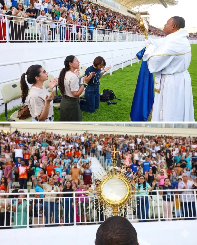 comunidade catolica sal da terra juazeiro do norte